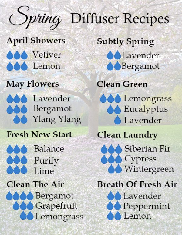 Spring Diffusers 8 Spring Diffuser Blends - The Honeycomb Home