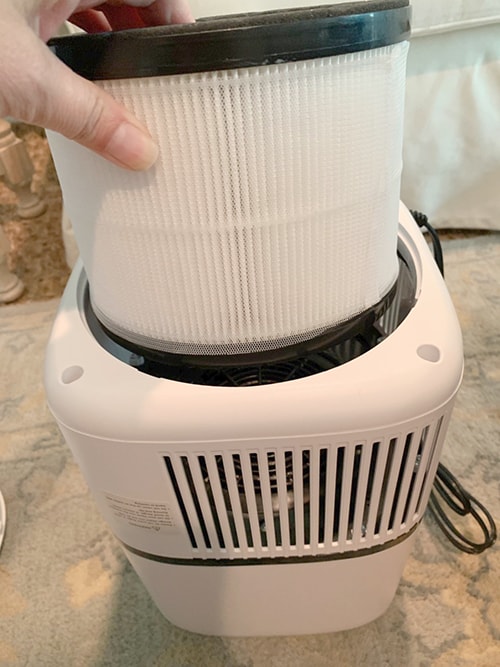 air purifier for pet hair