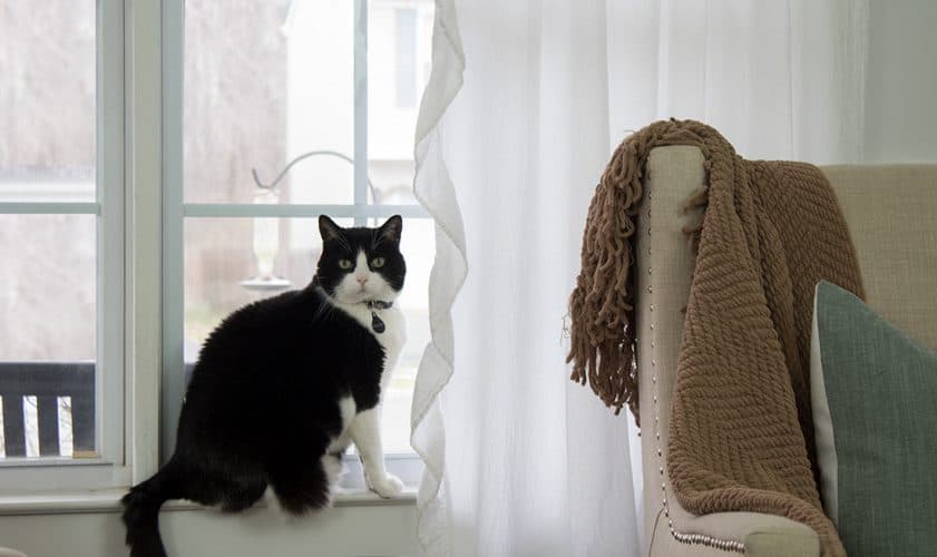 How To Steam Curtains Step Away From the Iron The Home