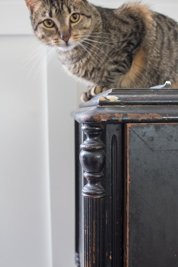 How to Paint Furniture Black Distressed (Without Sanding!) - The Honeycomb  Home