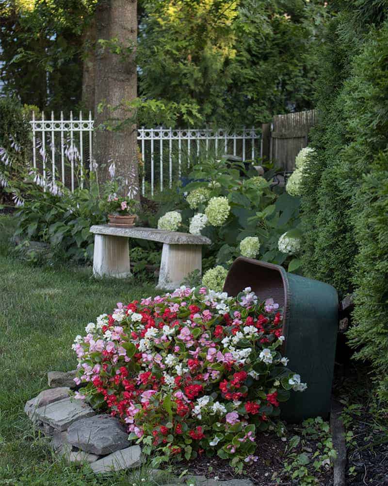 backyard flower garden layout