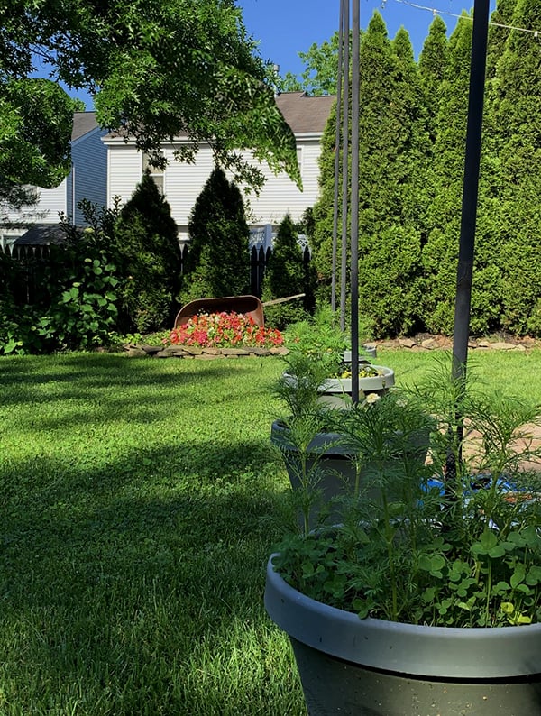 backyard ideas