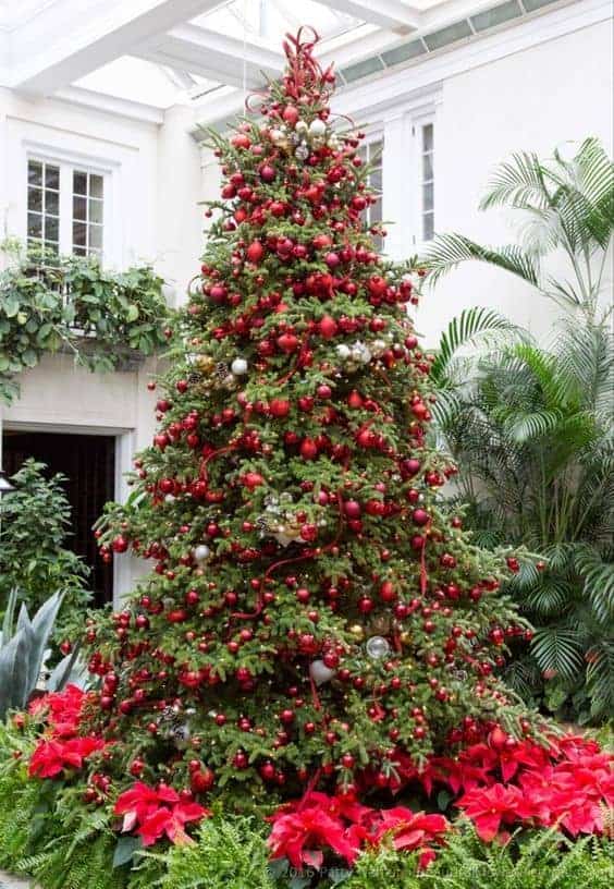 natural Christmas tree with red ornaments