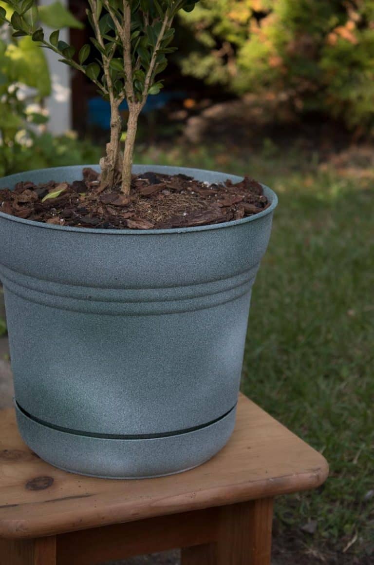 Painting Plastic Pots To Look Like Cement The Home