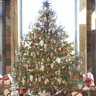 Steal These 7 Simple Christmas Tree ideas
