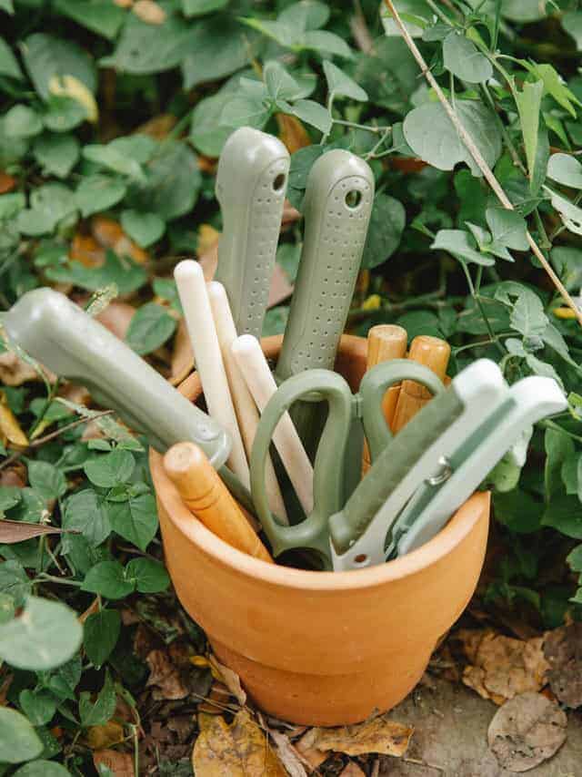 7 Garden Tools You Didn’t Know You Needed!