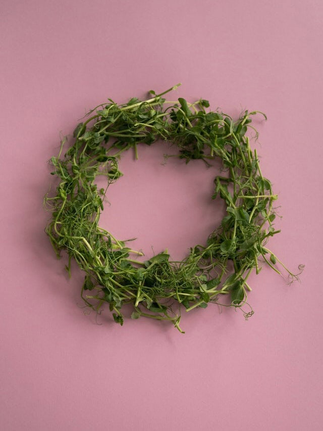 7 Beautiful Wreaths For All Seasons