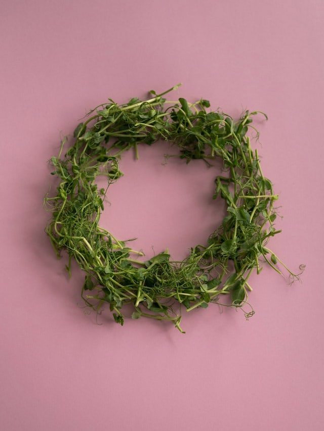 all season wreaths