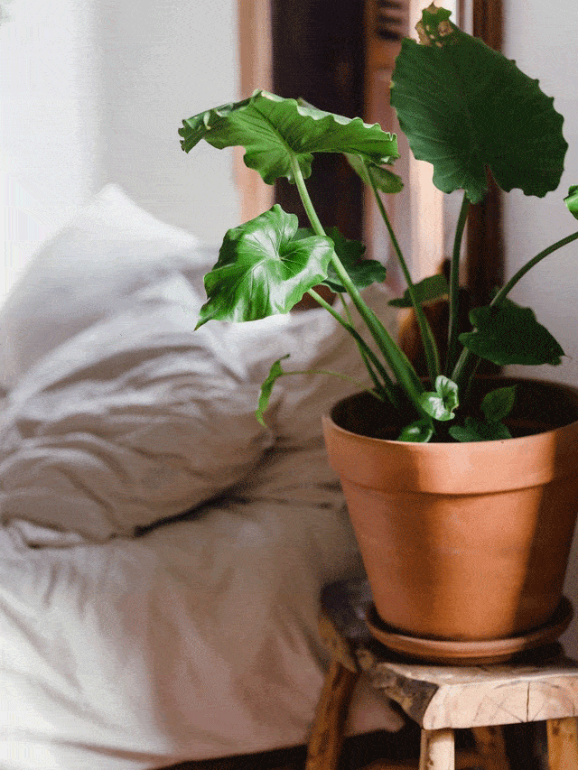 Inspiring Small Spaces!