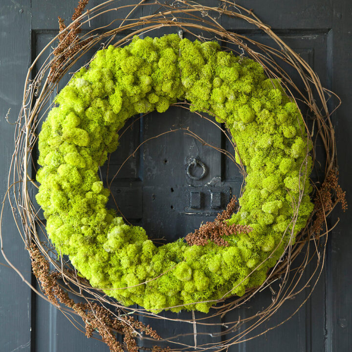 natural wreaths for year round - moss covered wreath