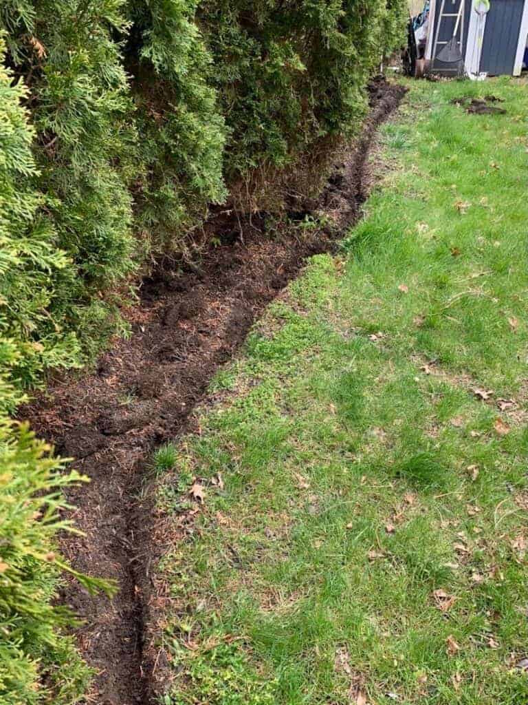 Edging Around Trees The Easy Way The Home