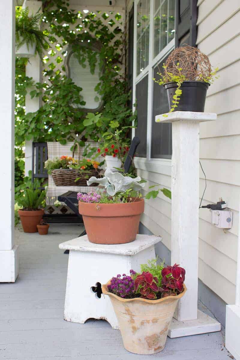 Best Potted Plants For Shaded Porch Areas - The Honeycomb Home