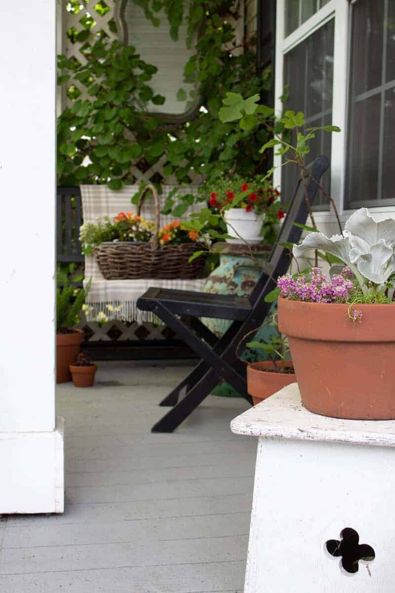 Best Potted Plants For Shaded Porch Areas The Home