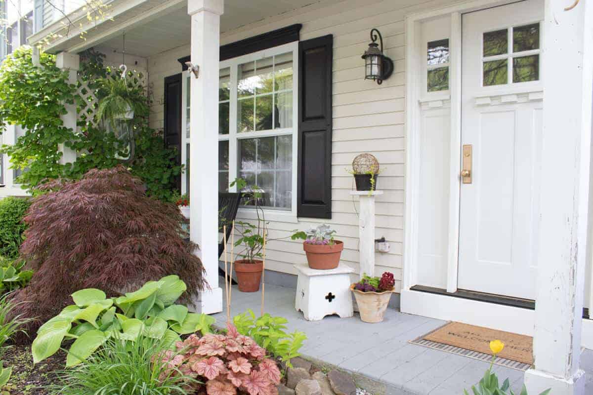Best Potted Plants For Shaded Porch Areas The Home
