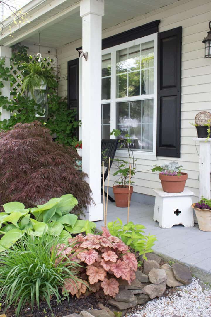 shade plants for covered porches