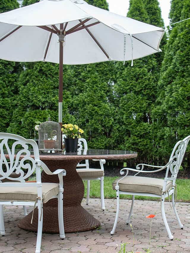 Creating A Backyard Oasis