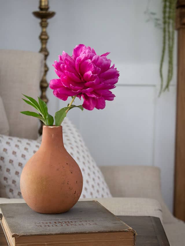 The 5 Most Versatile Decorating Accessories!