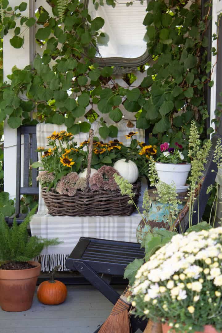 autumn flowers for porch ideas