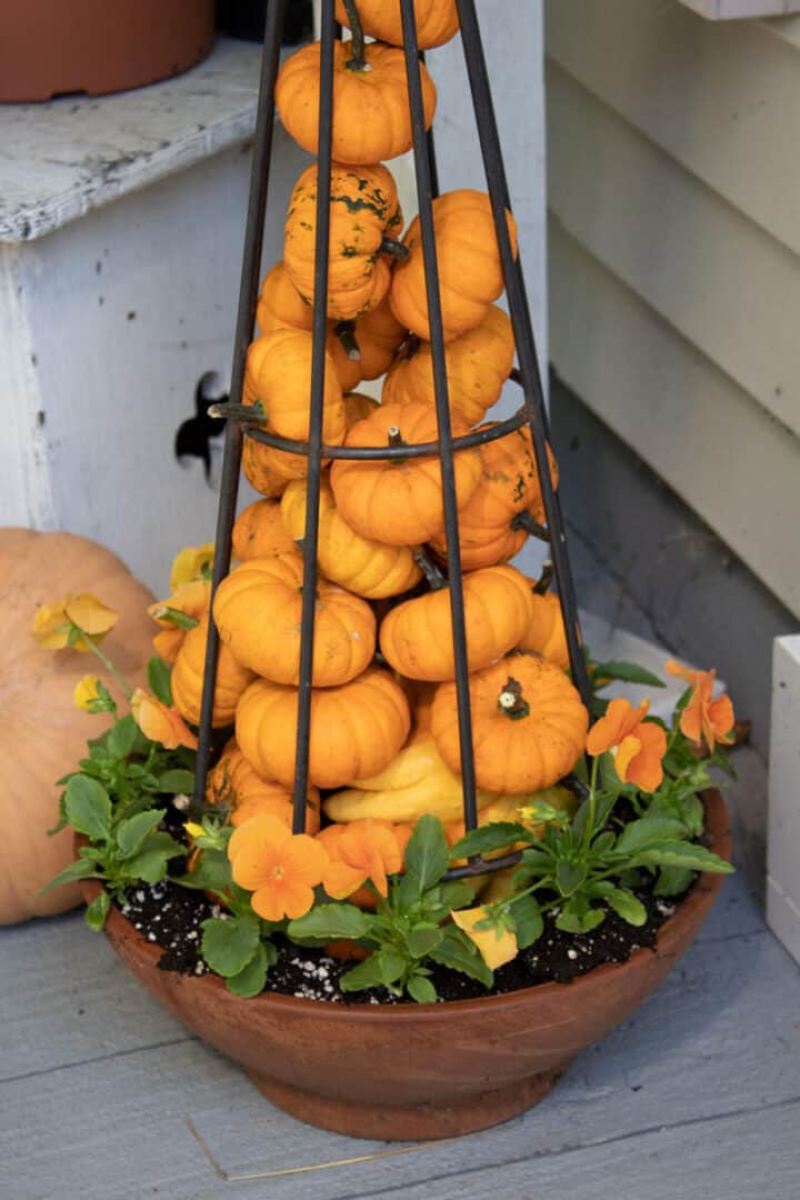 pumpkins in planter porch idea
