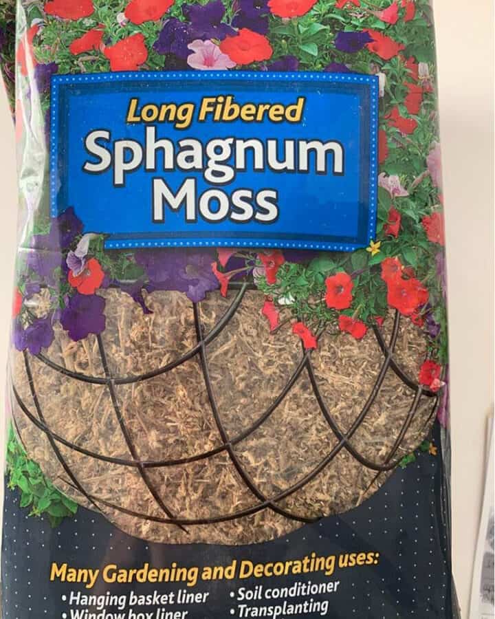 sphagnum-moss