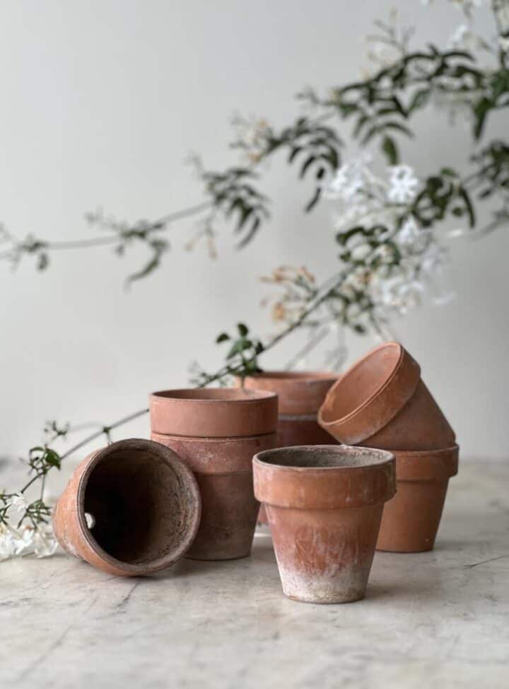 aged terracotta pots