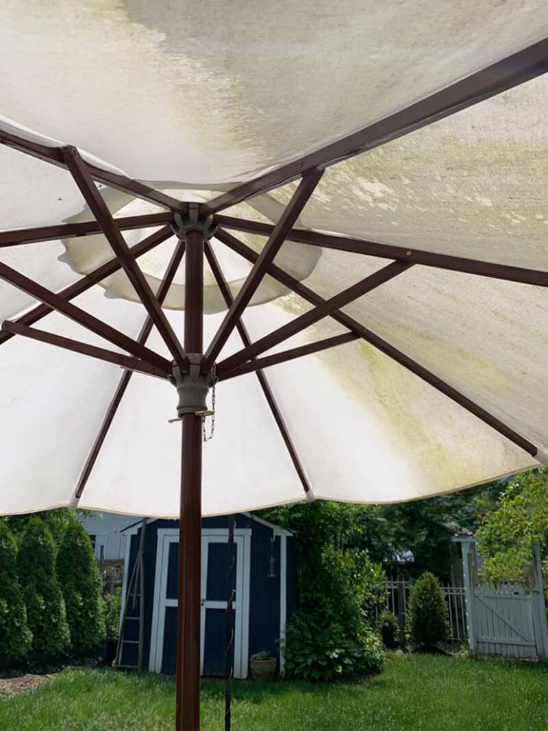 30 Second Cleaner For Outdoors The Home