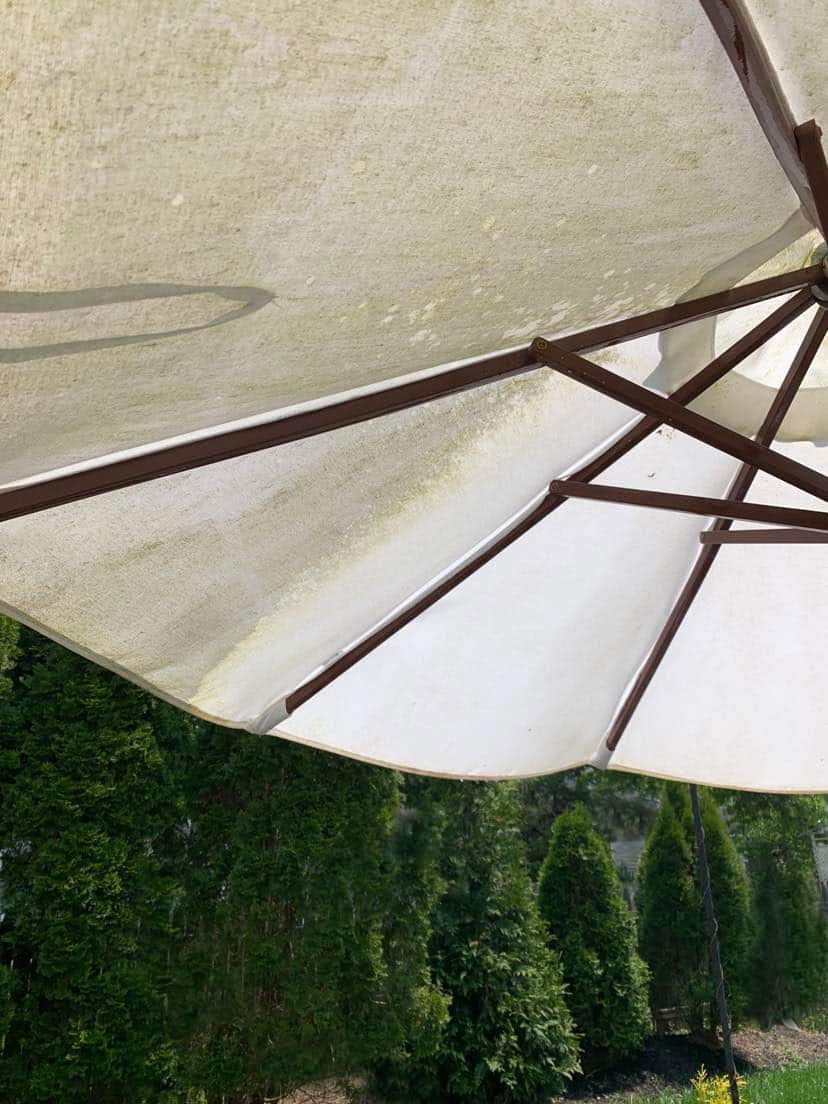 30 Second Cleaner For Outdoors The Home