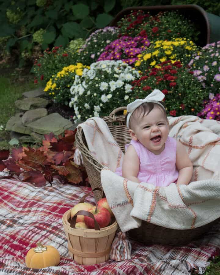 baby in basket fall photo with mums