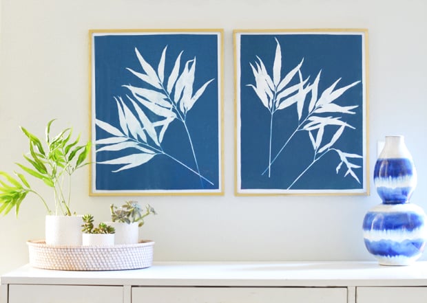 cyanotype-art sun prints