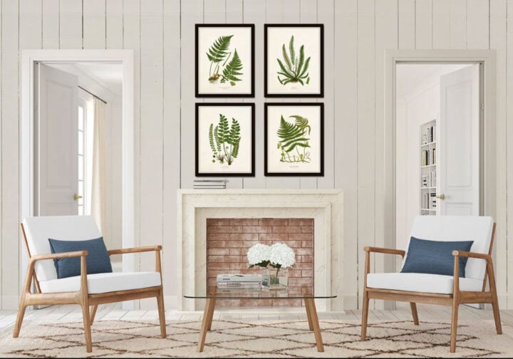framed-botanicals
