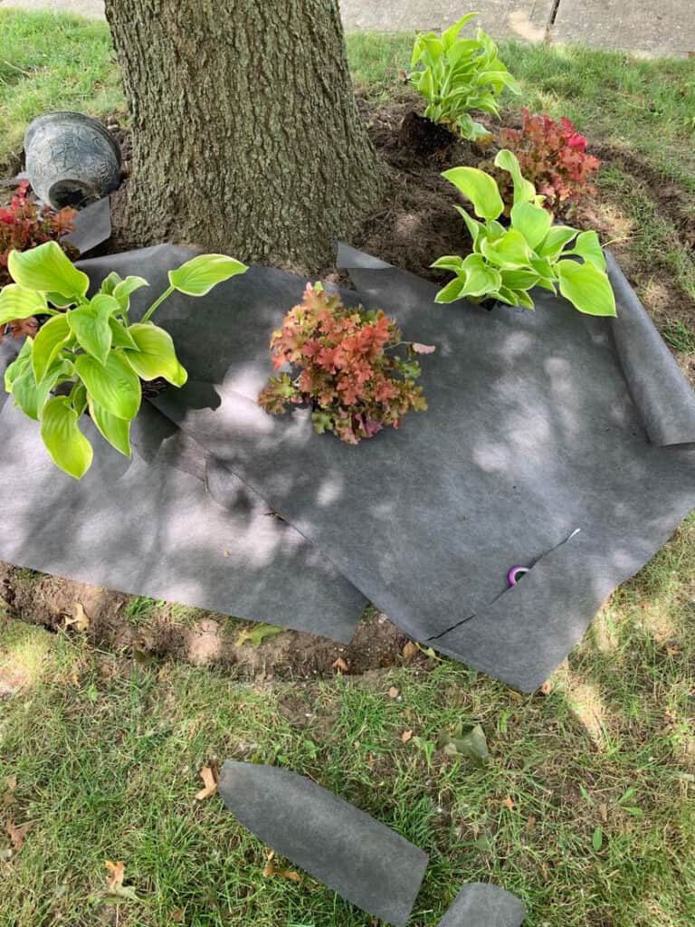 Forresting Tree Net For Roots Creative Landscaping Ideas Around Tree Roots - The Honeycomb Home