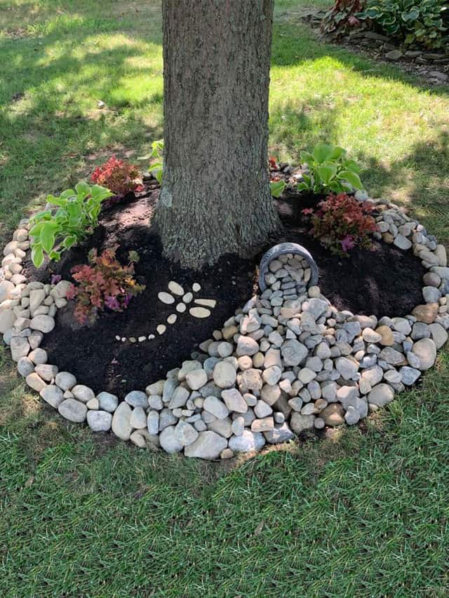 Landscaping Around Tree Roots