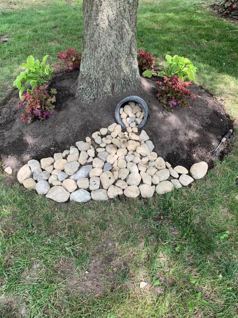 Creative Landscaping Ideas Around Tree Roots The Home