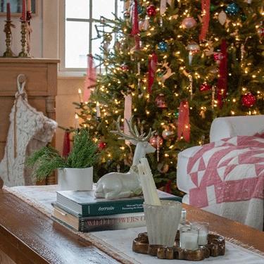 FI-Cozy-Christmas-Living room ideas