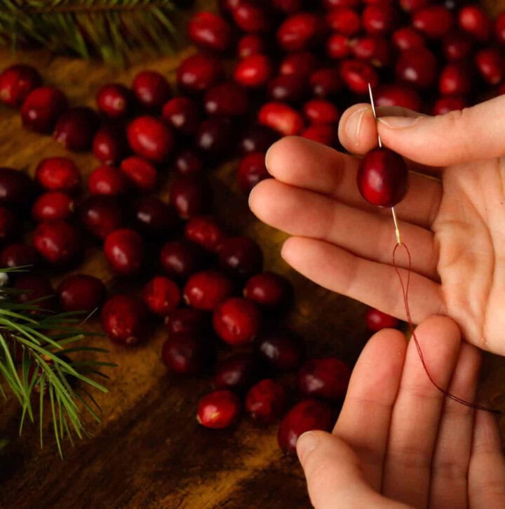 simple-diy-cranberry-garland natural Christmas decorations