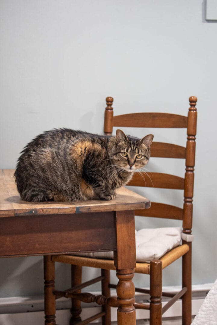 gray-blue-sherwin-williams-paint