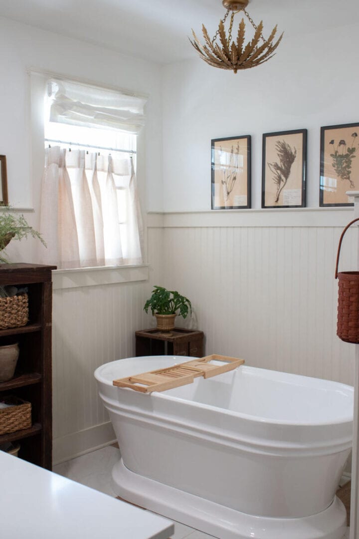 antique herbarium wall decor