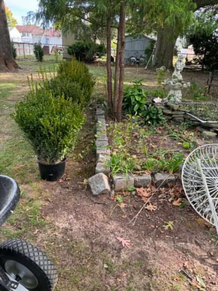boxwood-garden