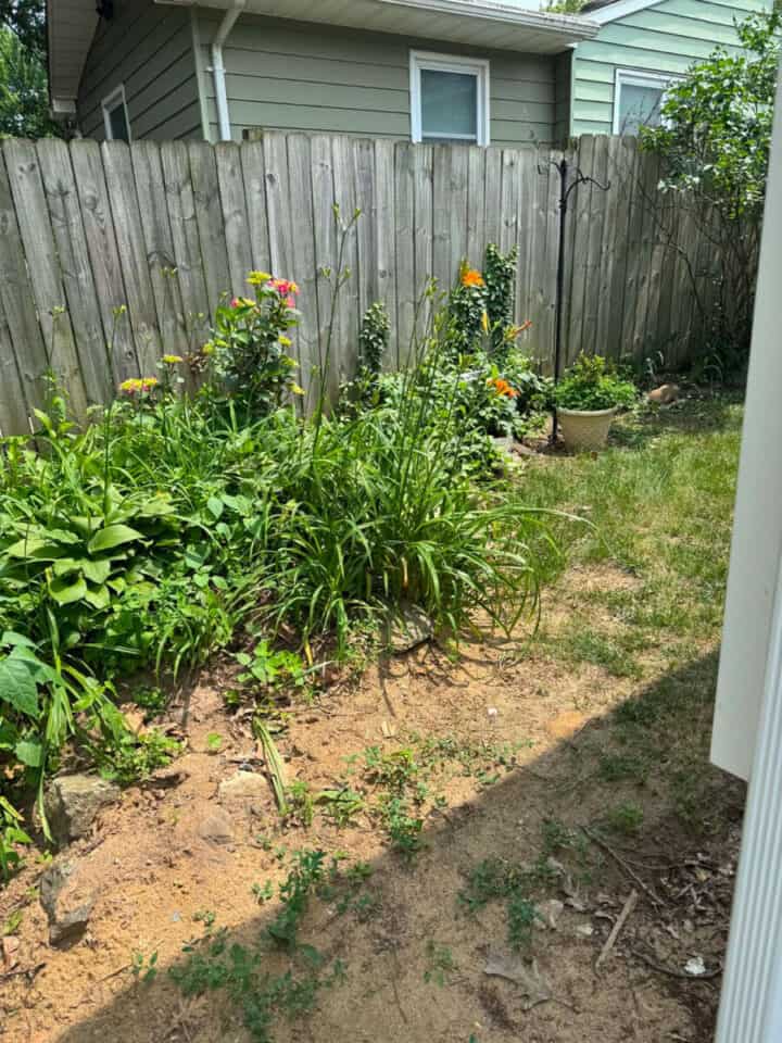 side-yard