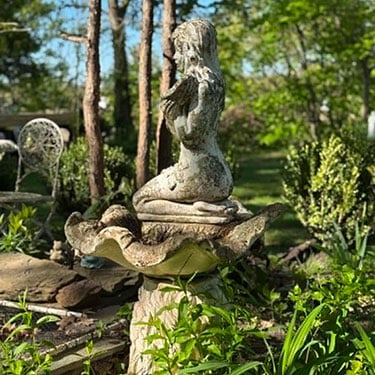 FI-Backyard-garden-ideas