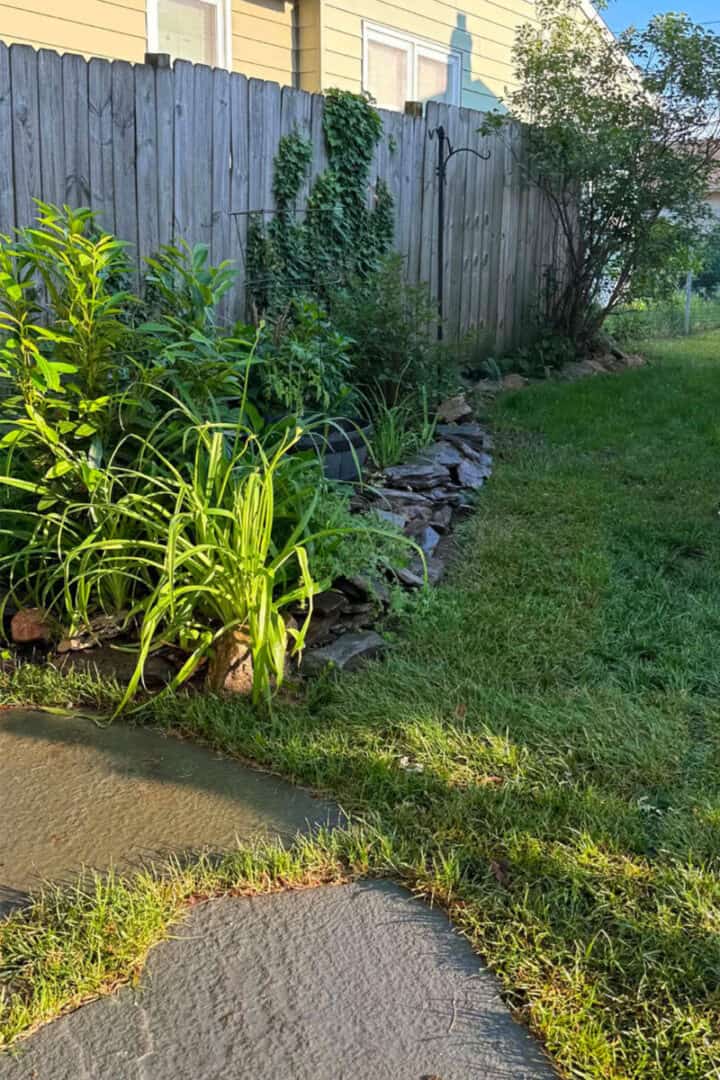 side-yard-progress-2026 - backyard garden ideas