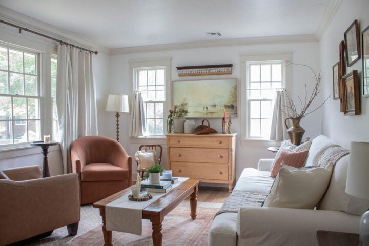 small-narrow-living-room-ideas