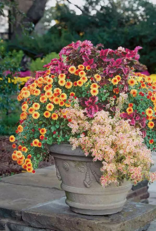 bright-colored-fall-planter-ideas