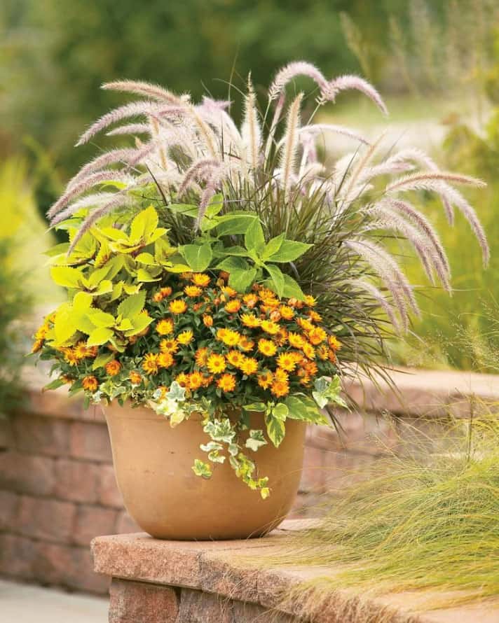 fall-container-garden-ideas