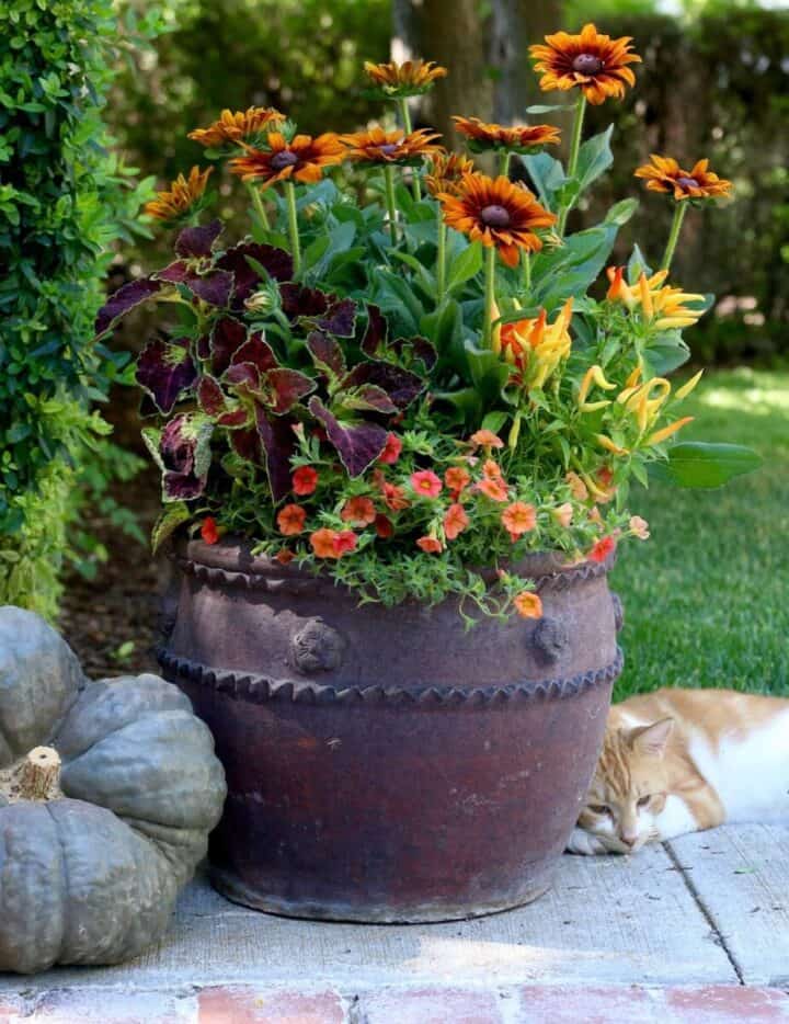 fall container planter ideas