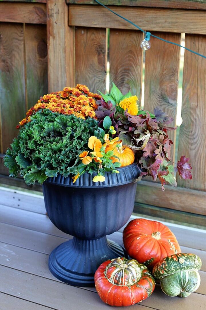 fall planter container mix ideas