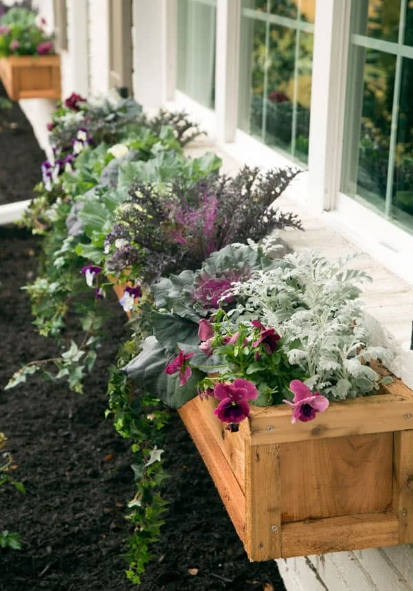 fall-window-box-ideas
