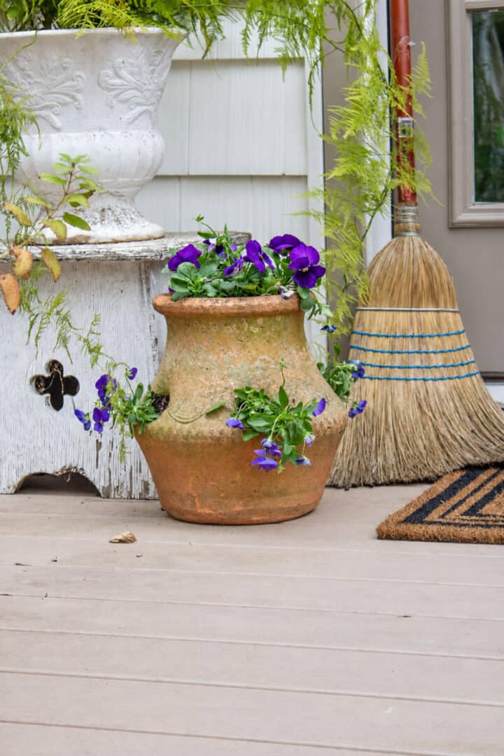 pansy-planter-ideas-fall