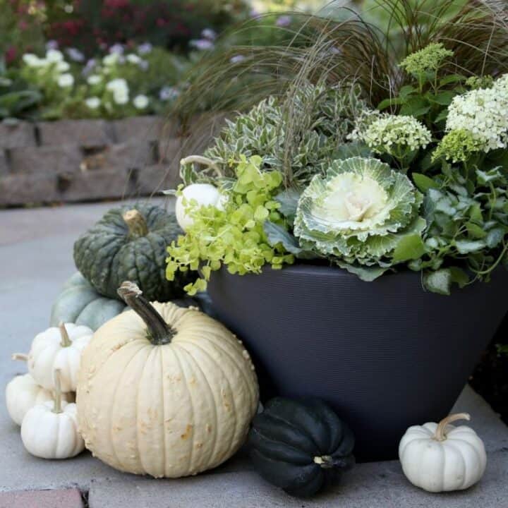 pretty fall container garden ideas