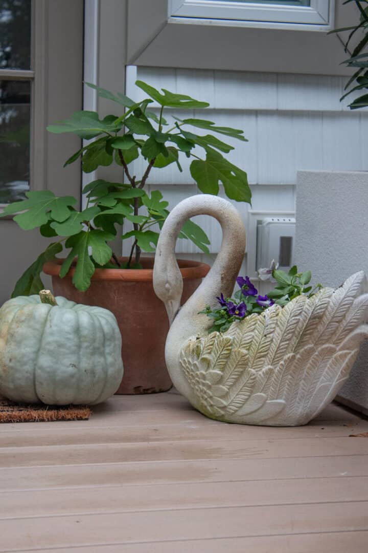 simnple-fall-porch-ideas-with-pansies